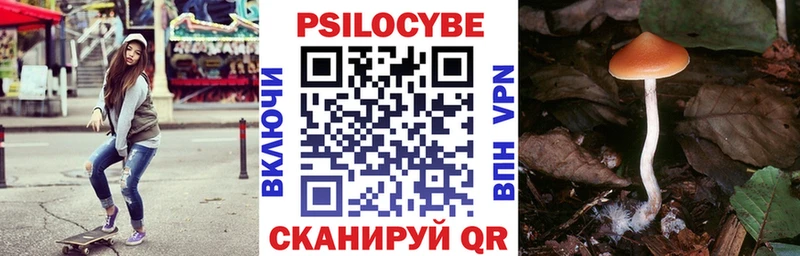 Псилоцибиновые грибы Psilocybine cubensis  Менделеевск 