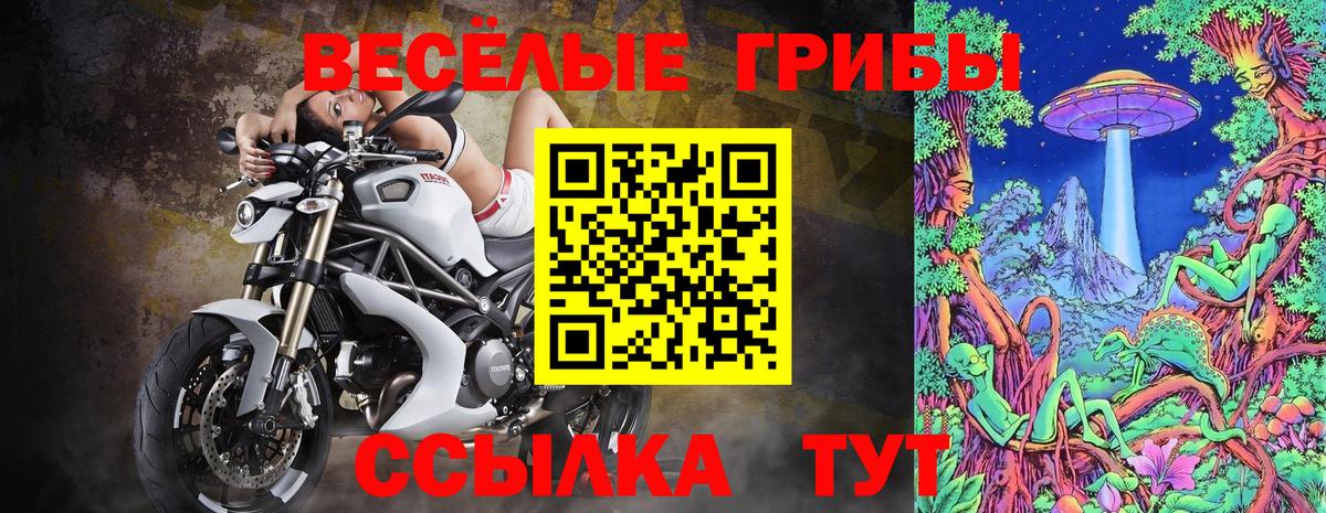 Галлюциногенные грибы GOLDEN TEACHER Менделеевск