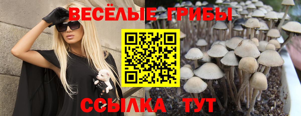 Псилоцибиновые грибы мухоморы  Вход с VPN  Менделеевск 