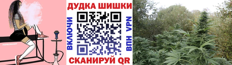 Каннабис OG Kush  закладки  Менделеевск 